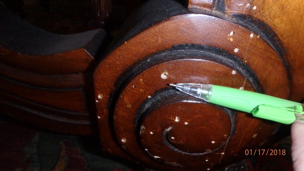 Wood Boring Beetle Damage to Table
