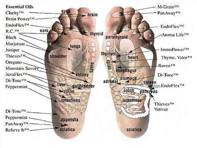 Reflexology and Raindrop