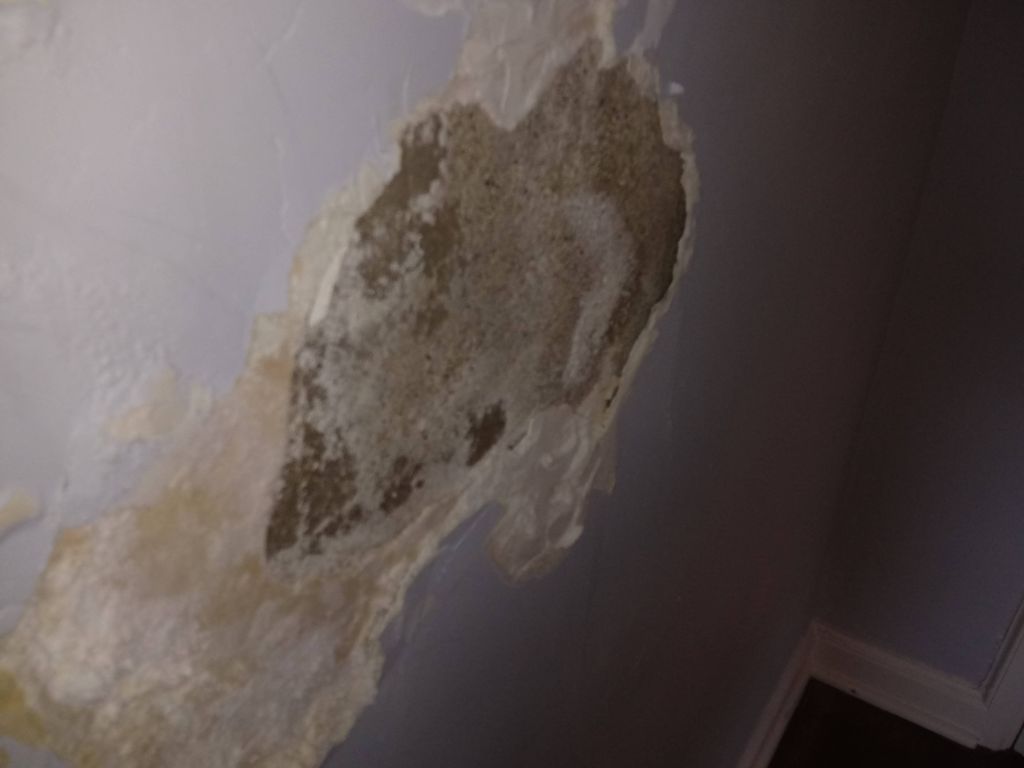 Plaster wall repair before