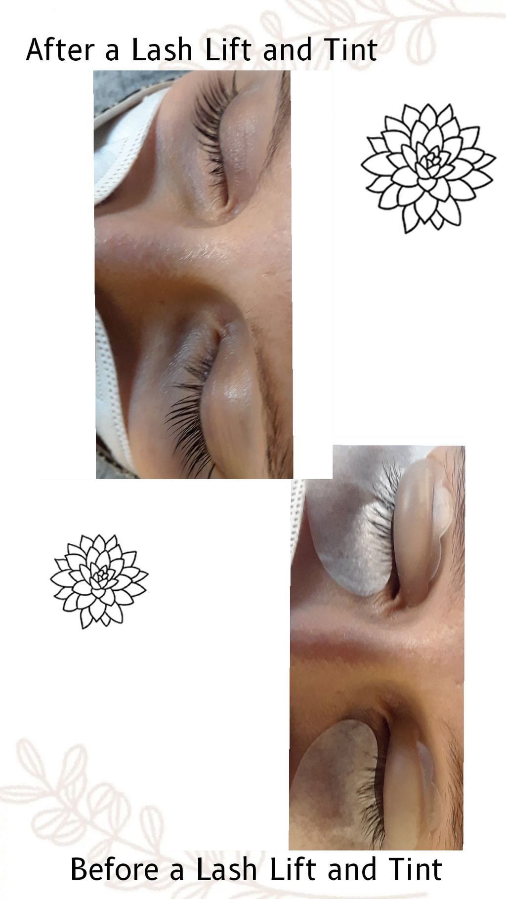 Results of a lash lift