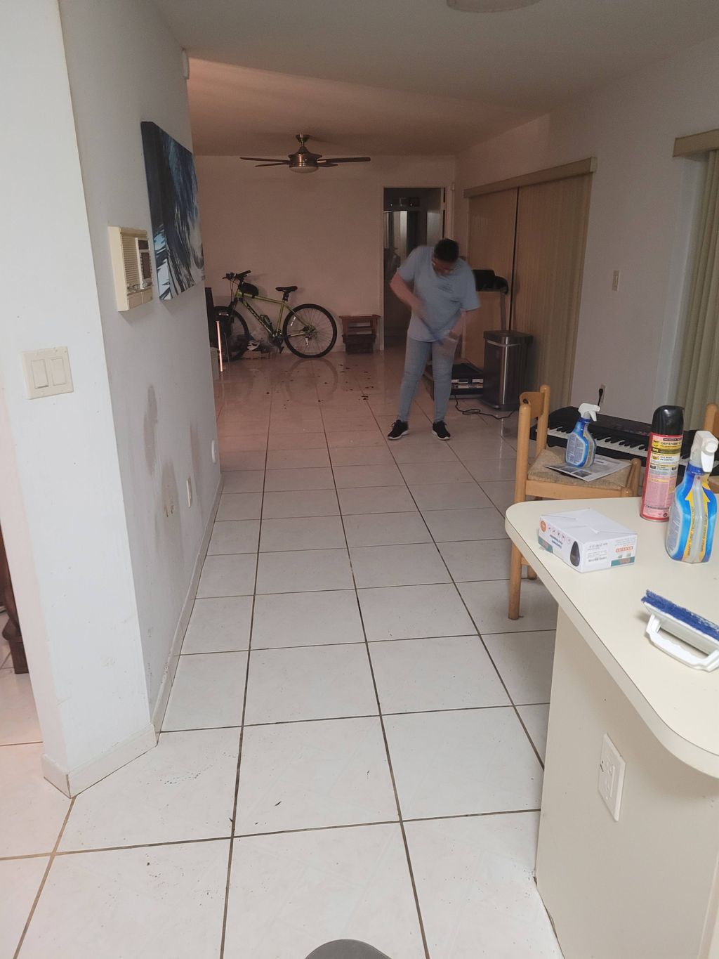 Projects and media