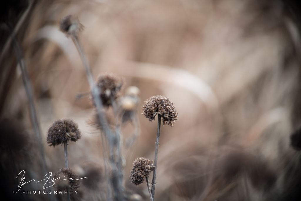Stillness: shot with my full frame camera