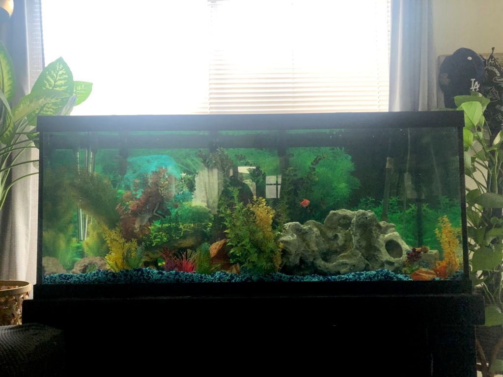 Customer photos