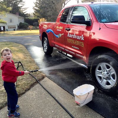 Avatar for Aardvark Painting and Home Improvements