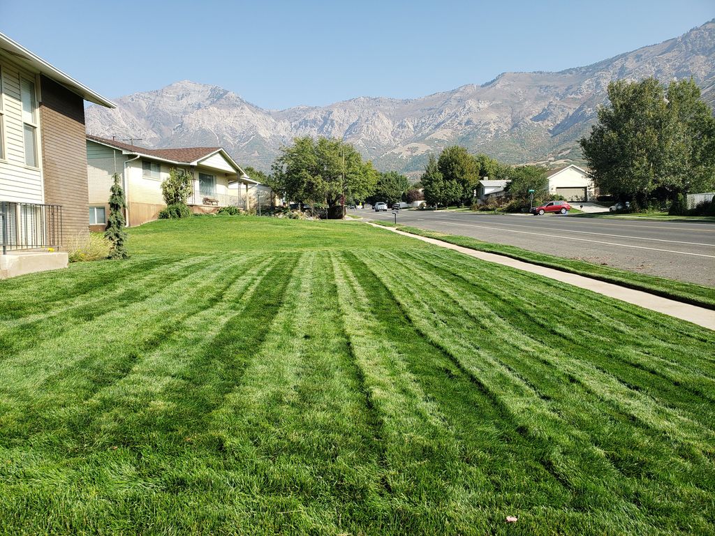 Full Service Lawn Care