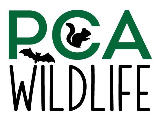 PCA Wildlife LLC