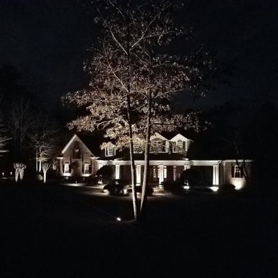 Avatar for Zenscapes Landscape Lighting NO HOLIDAY LIGHTS