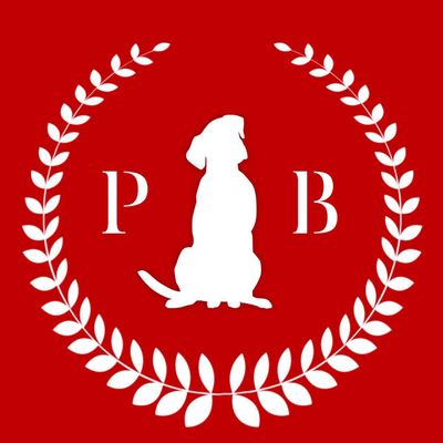 Avatar for Plush Bark Dog Training & Pet Care