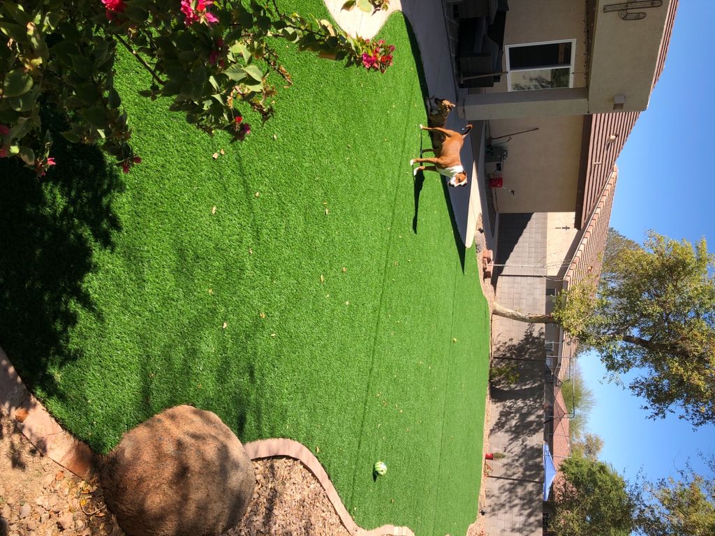 Customer photos