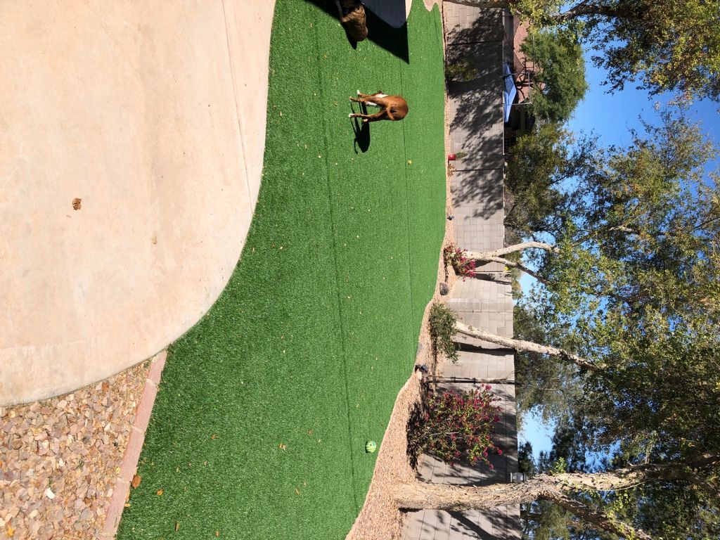 Customer photos