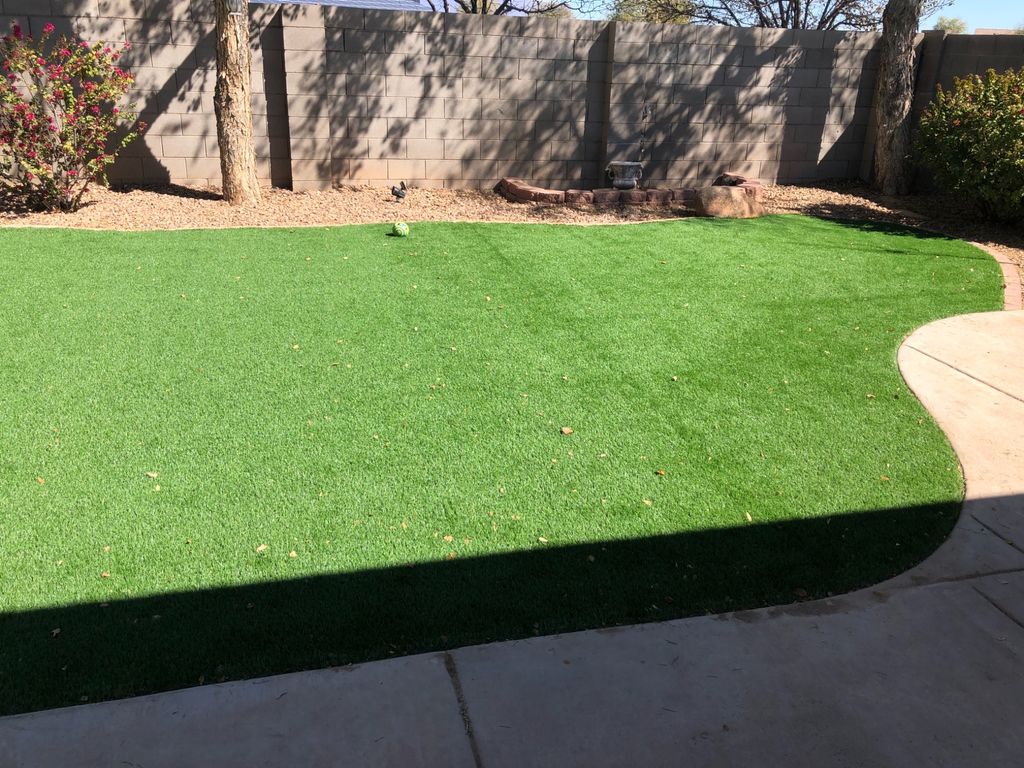 Customer photos