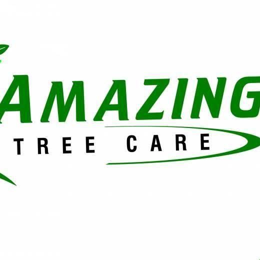 Amazing tree care