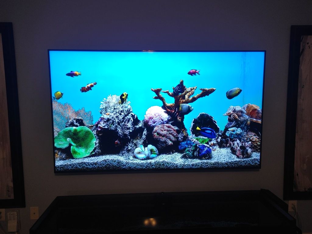 Customer photos