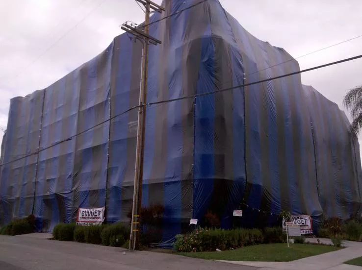 5 Story Apartment Budget Termite Fumigated in Holl