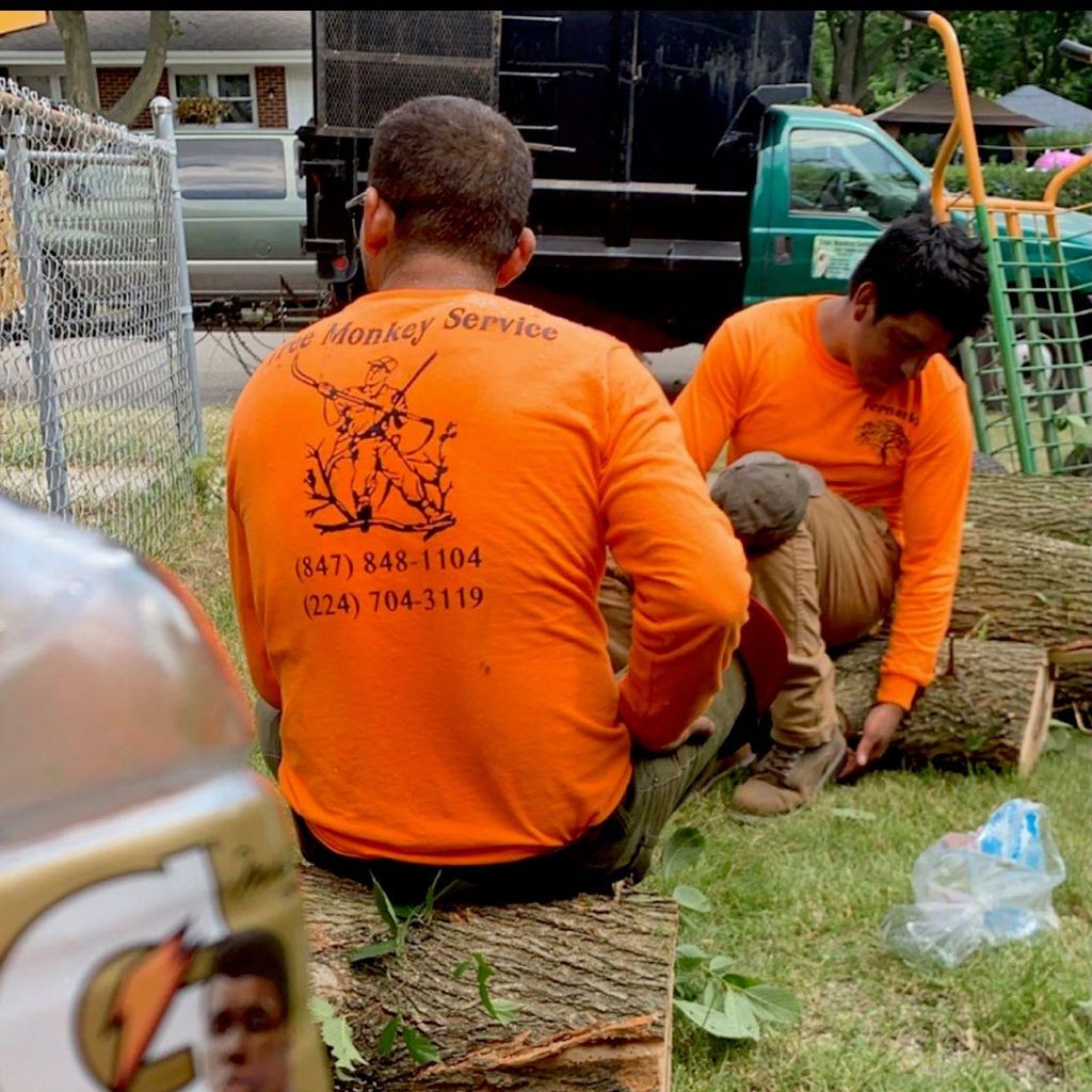 Tree Monkey Service