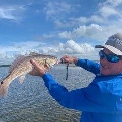 Punta Gorda Pest Control