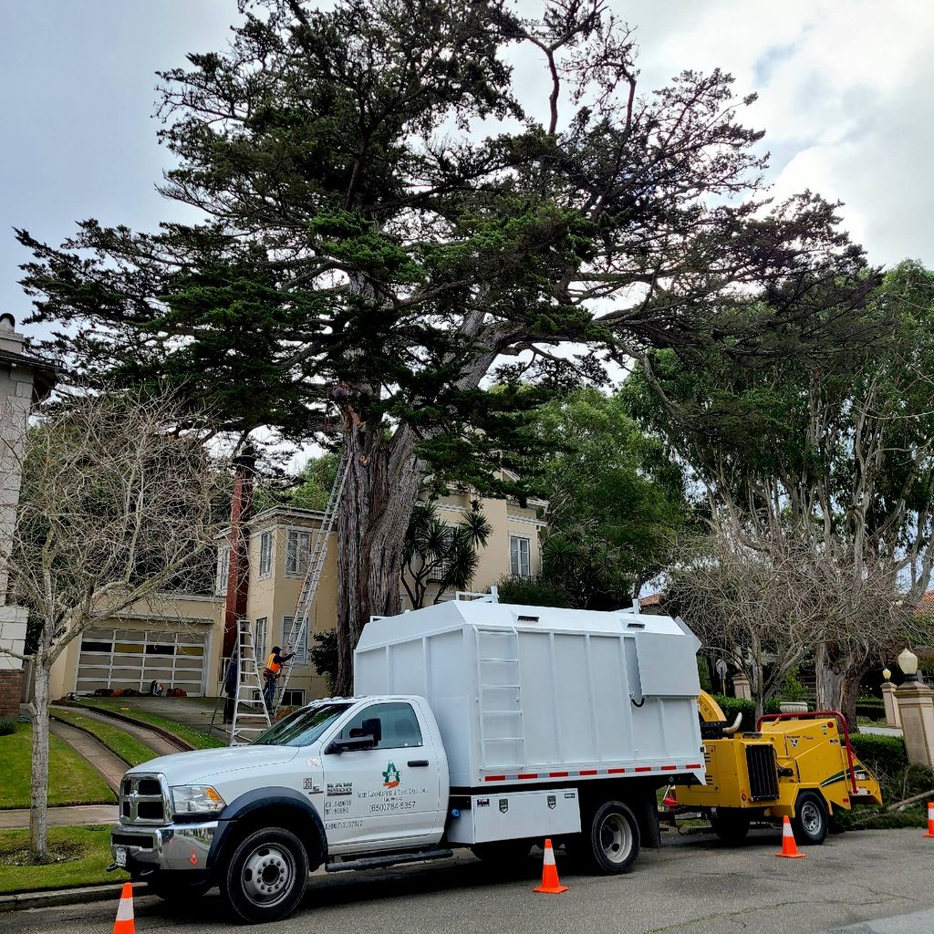 Acer Landscaping & Tree Care Inc.
