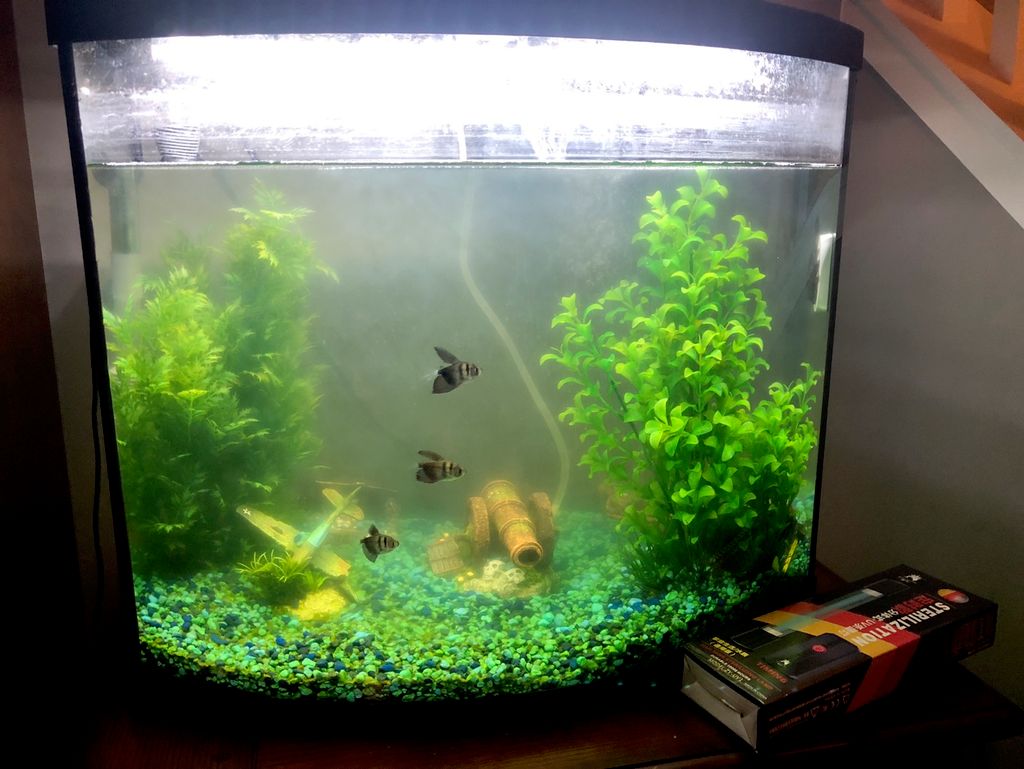 Customer photos