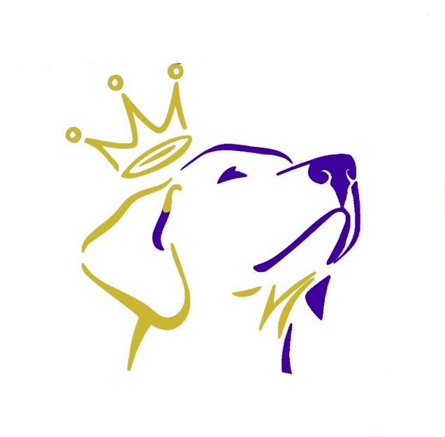 Quing Canine