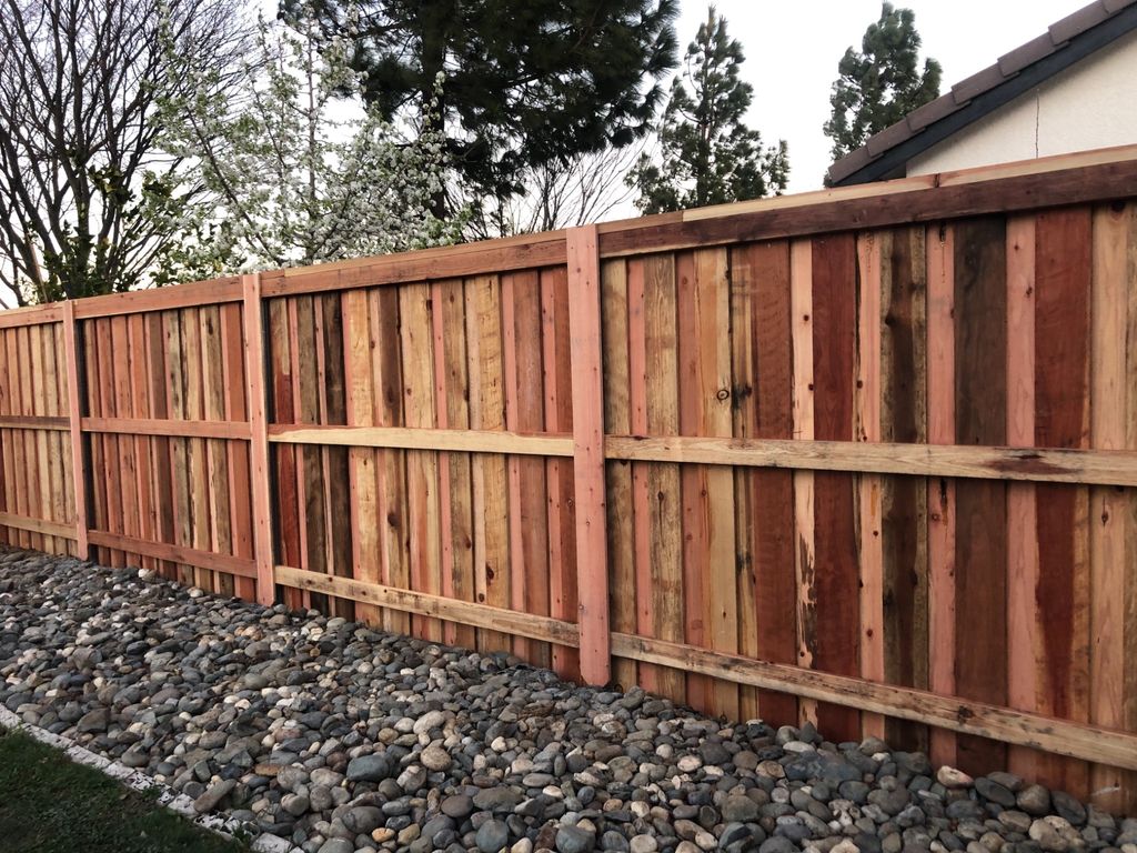 Customer photos