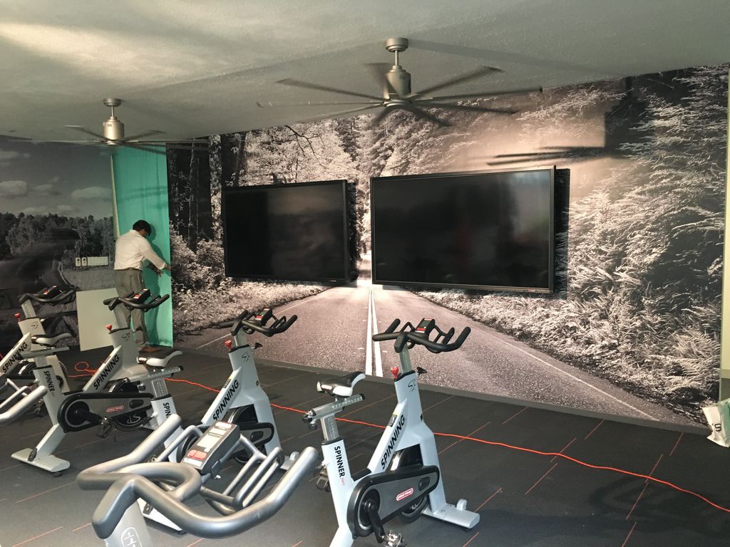 Projects and media