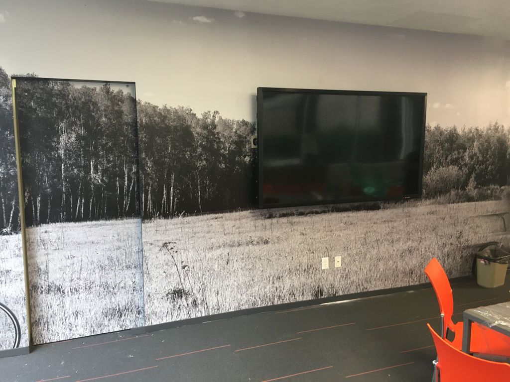 Projects and media