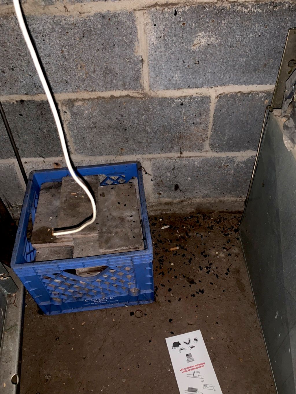 Rat Mess behind furnace