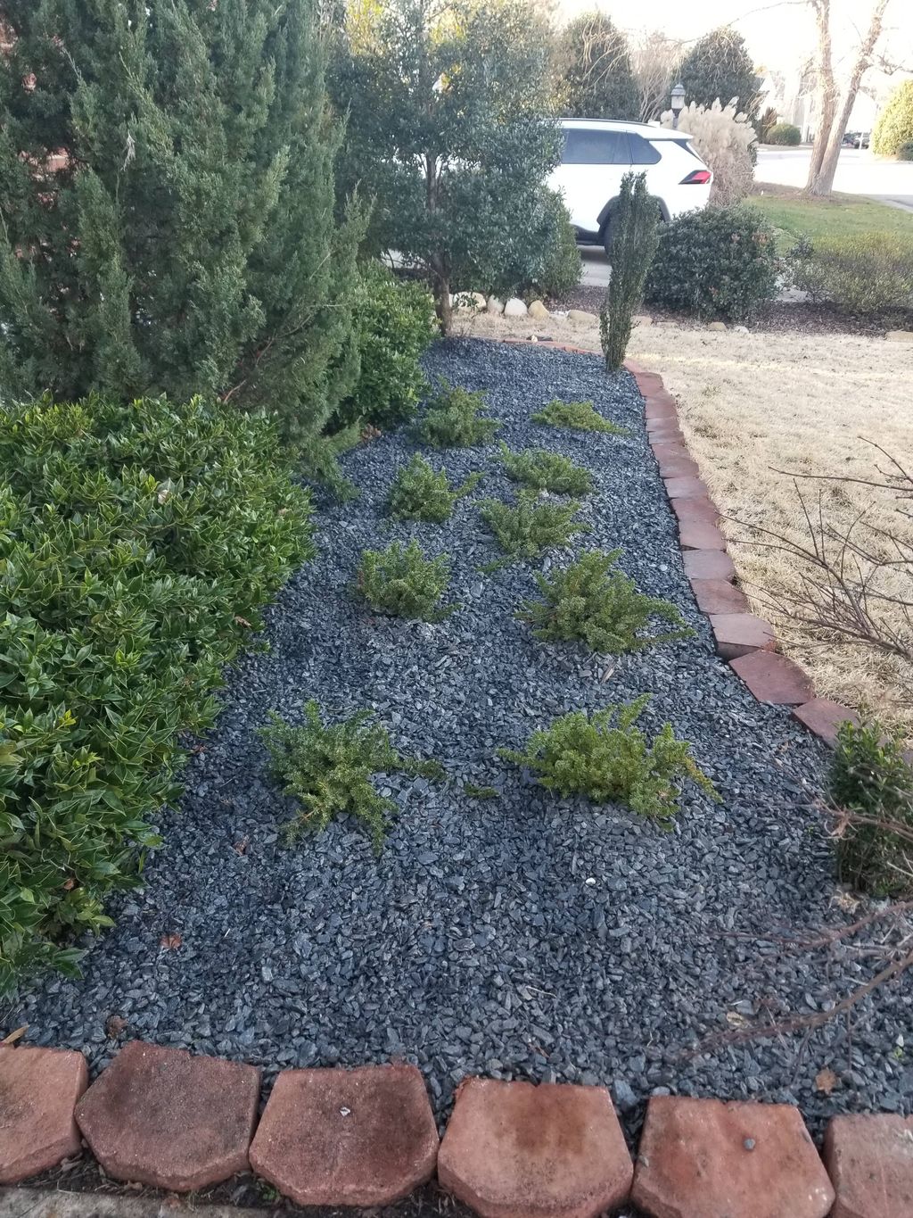 Customer photos
