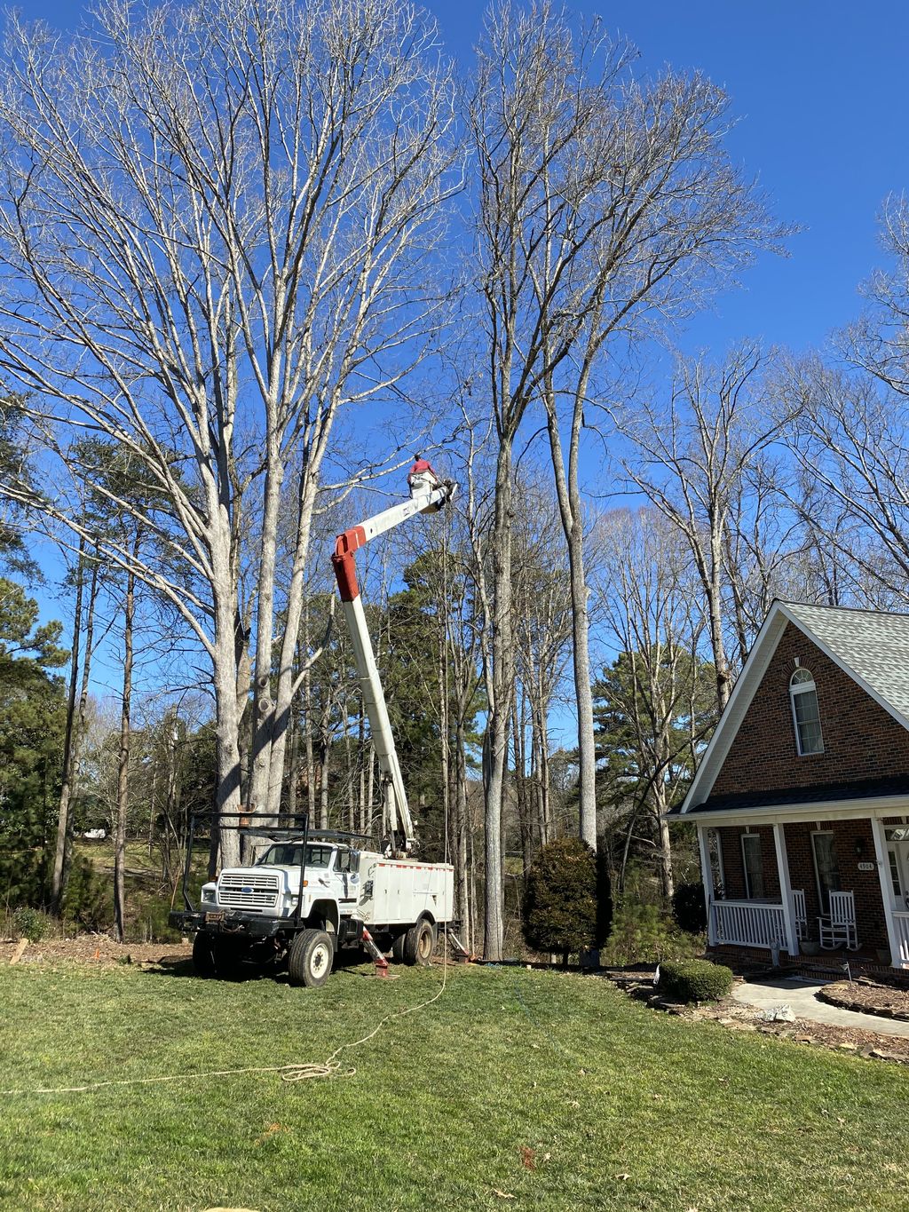 Tree Trimming and Removal