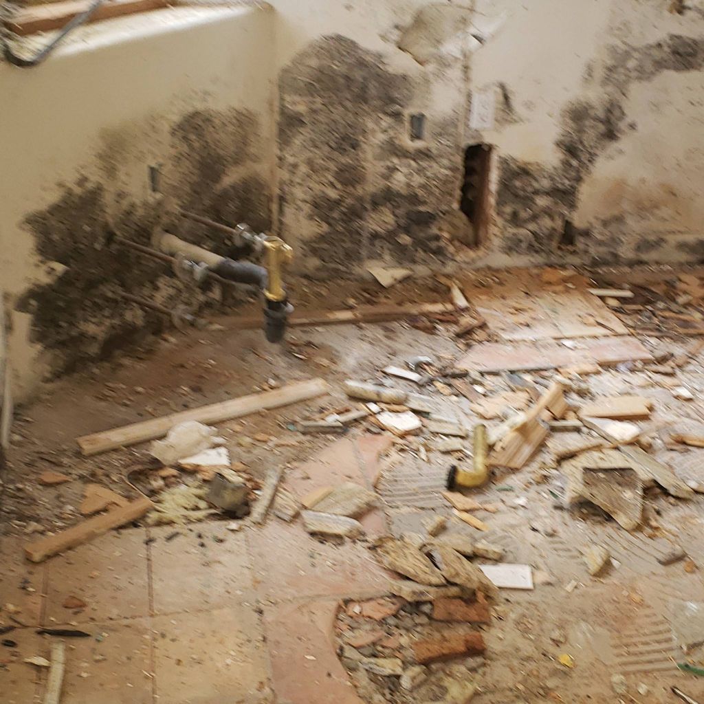 ASAP Restoration and mold