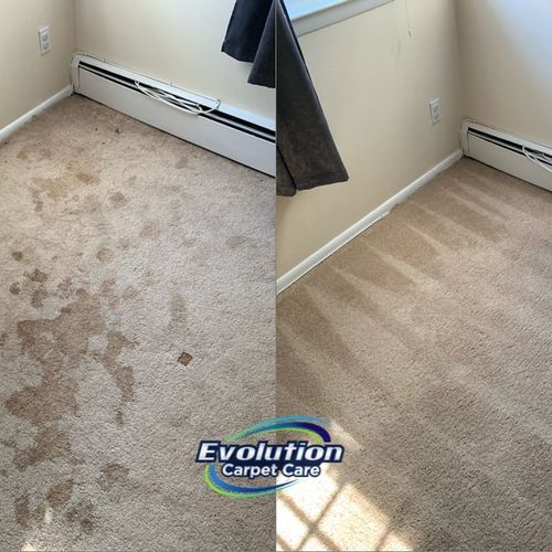 Carpet cleaning before and after. All stains were removed plus got the carpet nice and clean!