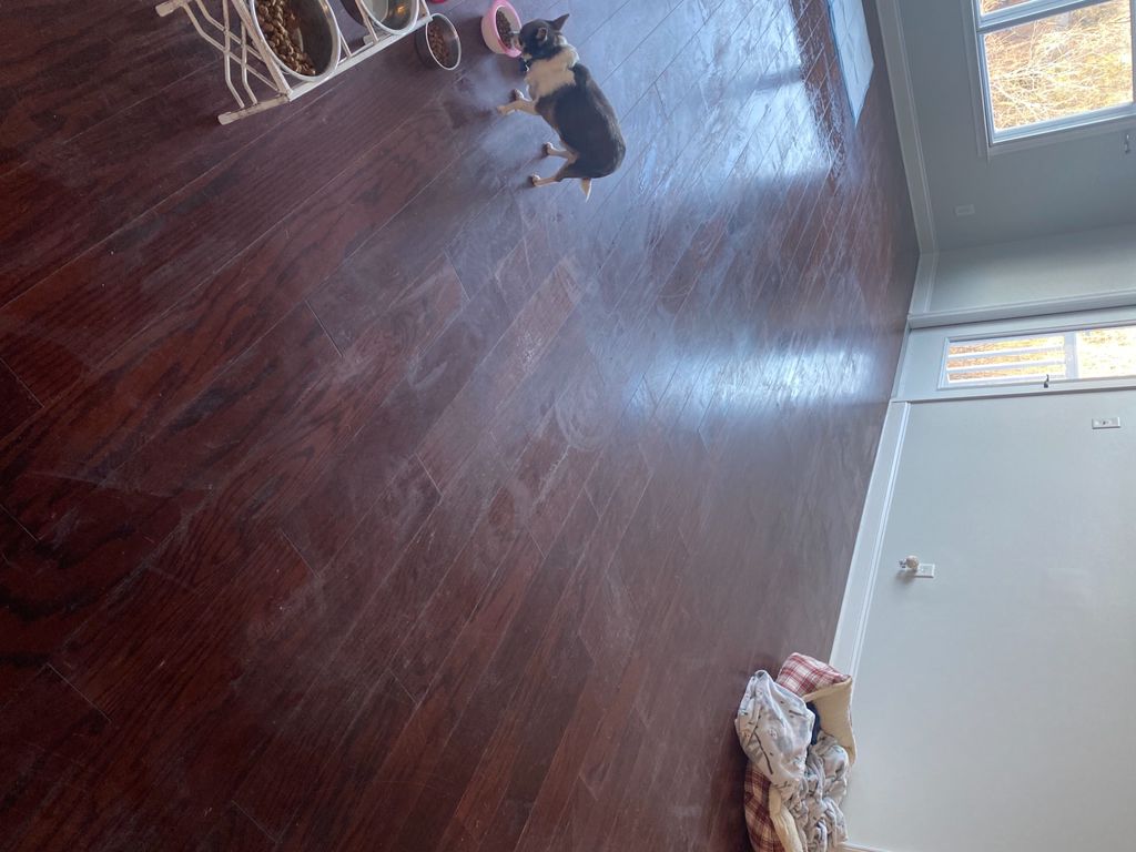 Customer photos