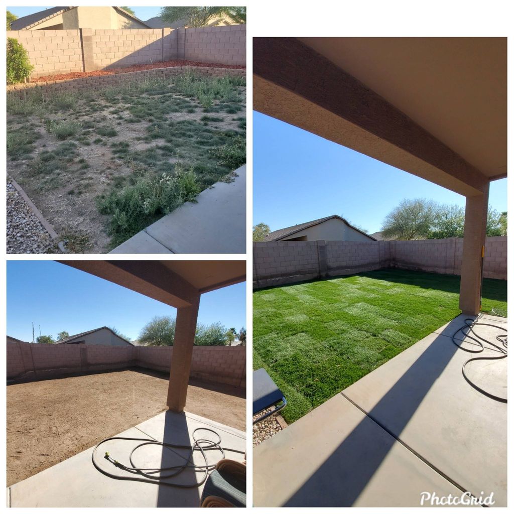 before and after sod