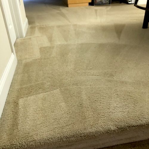 I would highly recommend Dalux carpet cleaning to 