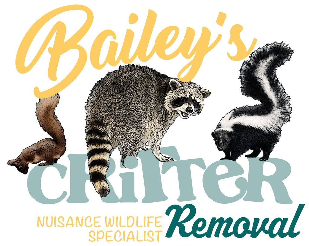 Bailey’s Critter Removal