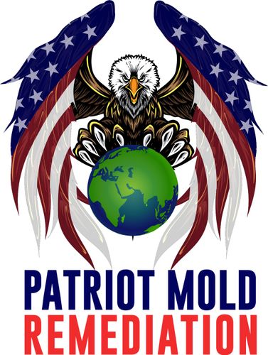 Patriot Mold Remediation