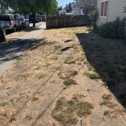 After - Job in Newark, CA