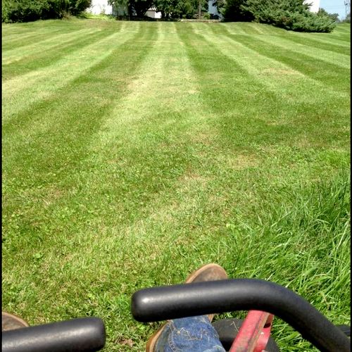 Lawn Mowing and Trimming