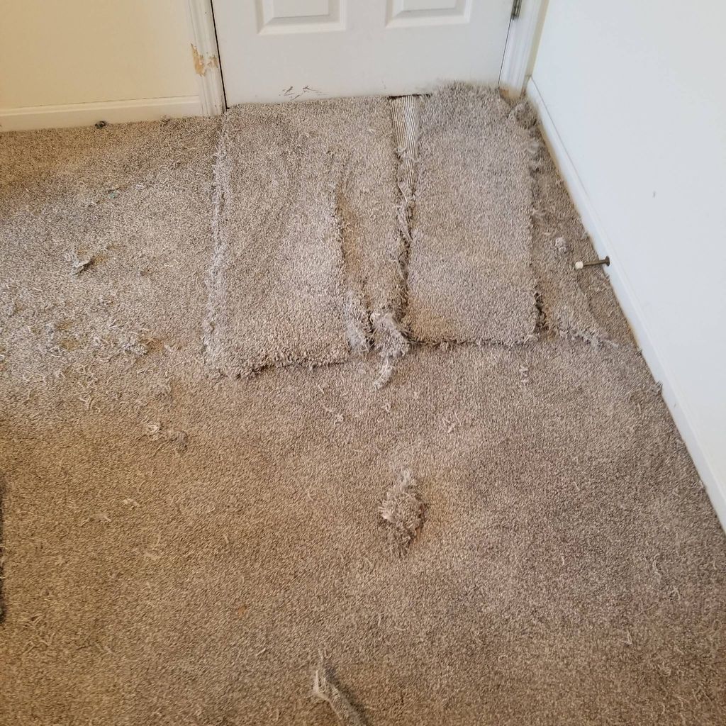 Don Henize Carpet Repair