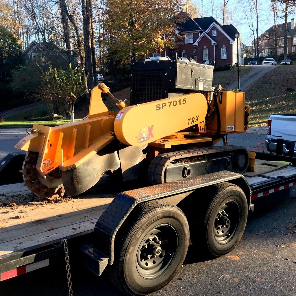 The 10 Best Stump Grinding Services in Atlanta, GA 2024