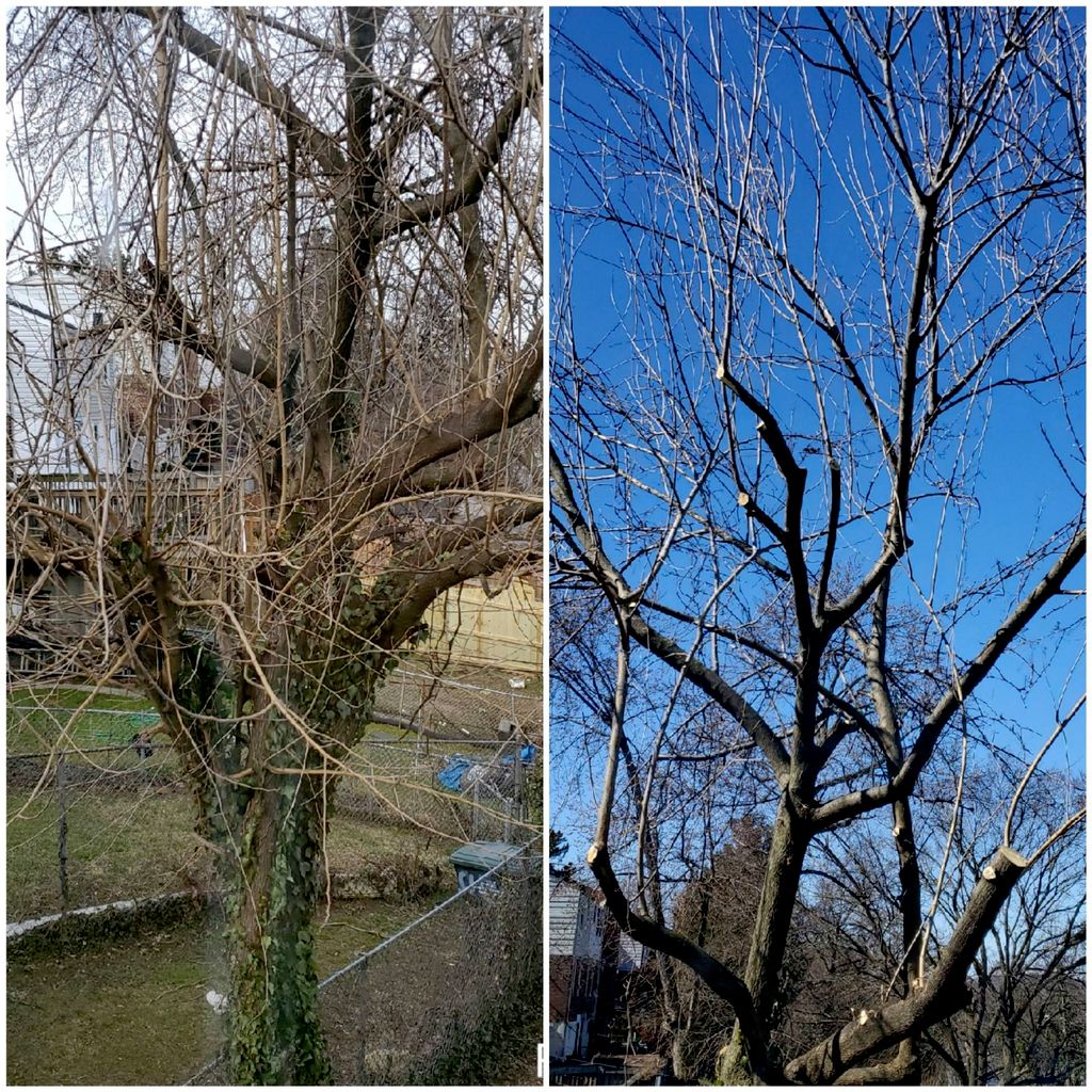 before and after!!👌
