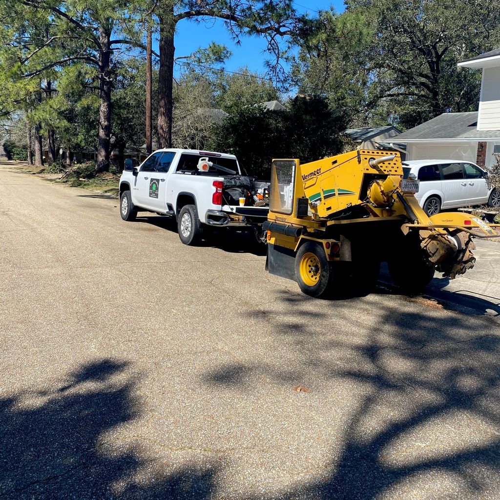 Jay-Starr Tree & Landscaping LLC