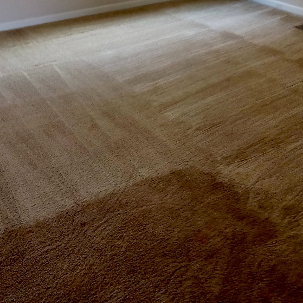 Hunter's extreme carpet cleaning