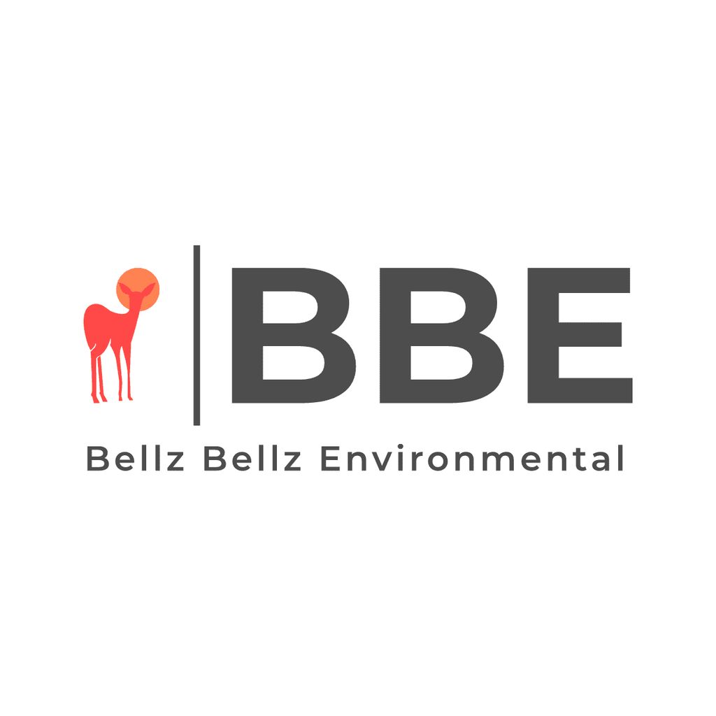 BBE Environmental