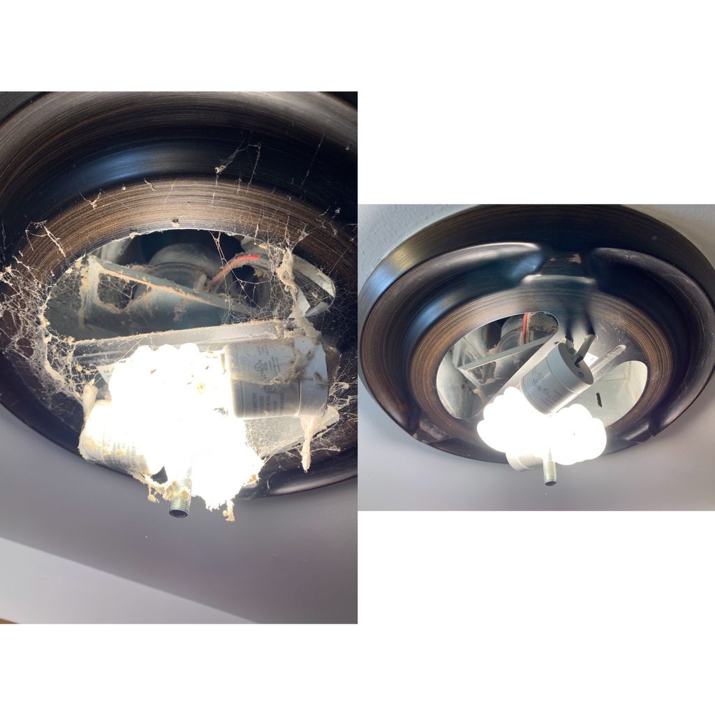 cobwebs dust and dirt inside light fixture cleanin