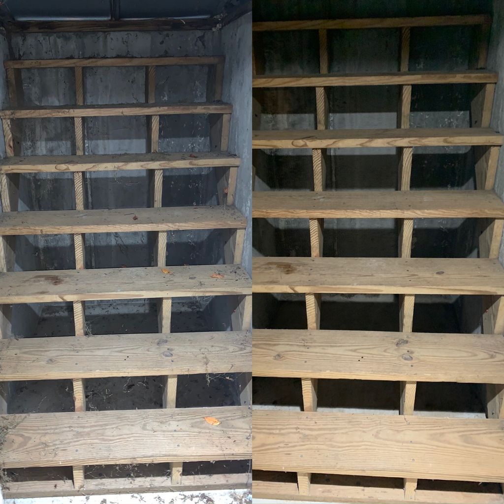 Cellar basement steps deep cleaned!!
