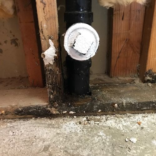 Mold and rotting wood from leak