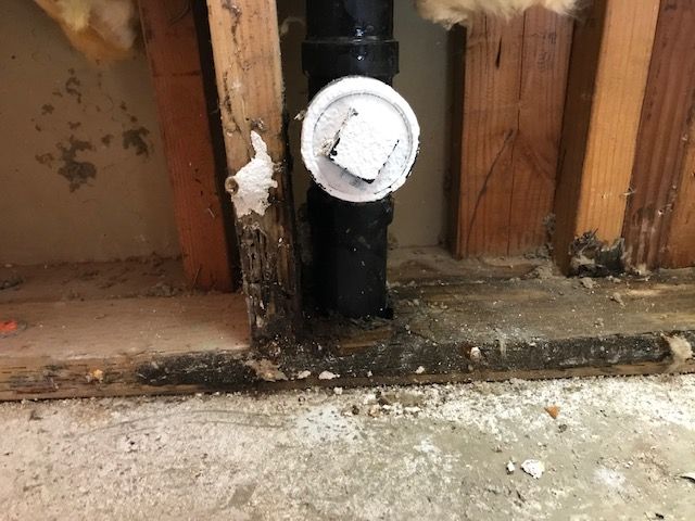 Mold and rotting wood from leak