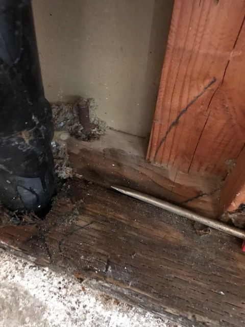 mold and rot from leaking sink