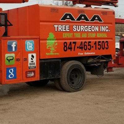 Avatar for AAA Tree Surgeon inc.